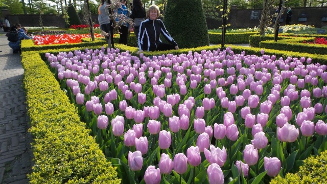 2014-04-17 Holland Tulips 14.jpg